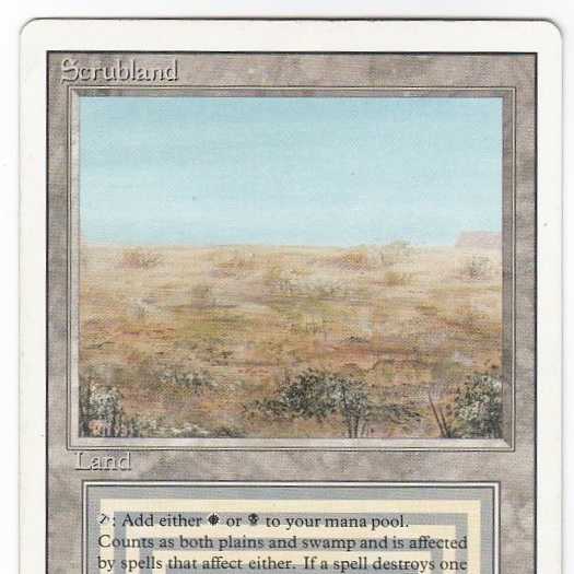 RV Scrubland (英語) リバイズド デュアルランド 180-1 1枚