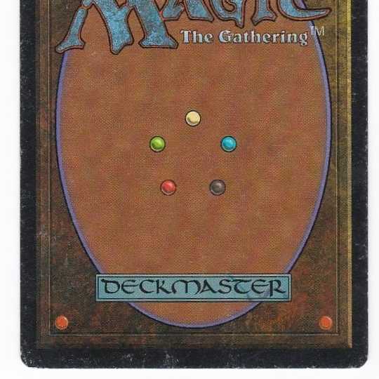 RV Scrubland (英語) リバイズド デュアルランド 180-1 1枚