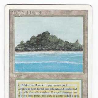 RV Tropical Island (English) Revised Dual Land 165