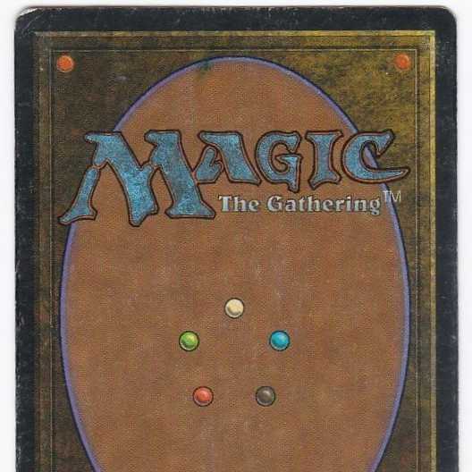 RV Tropical Island (English) Revised Dual Land 165