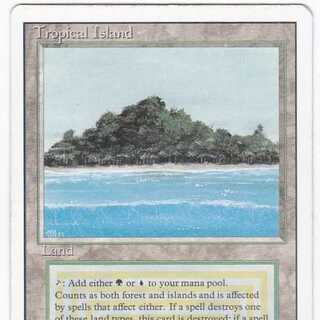 RV Tropical Island (English) Revised Dual Land 175