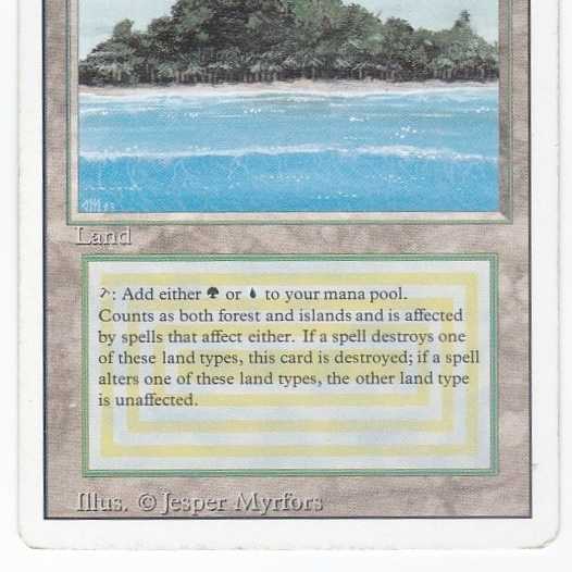 RV Tropical Island (English) Revised Dual Land 175