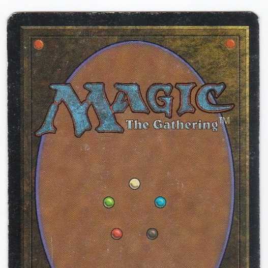 RV Tropical Island (English) Revised Dual Land 175