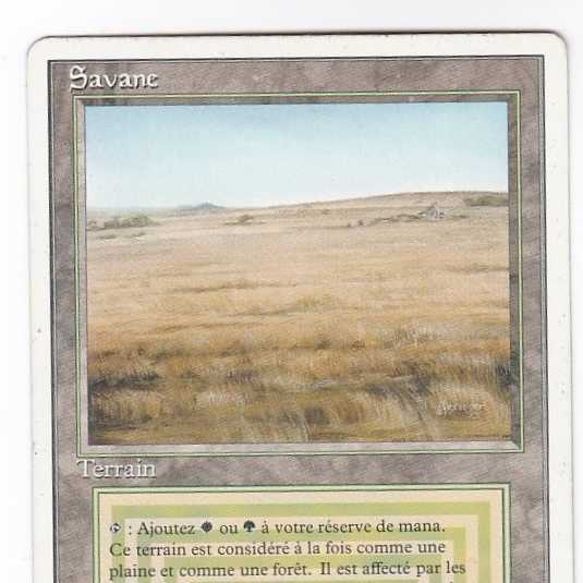 RV Savannah (仏語) リバイズド デュアルランド131