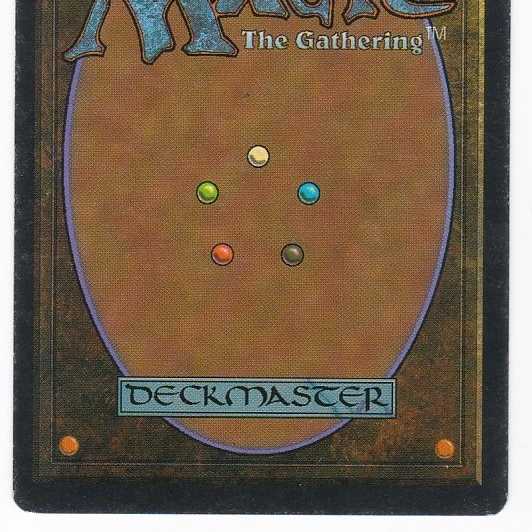 RV Savannah (仏語) リバイズド デュアルランド131