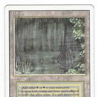 RV Bayou (英語) リバイズド デュアルランド177