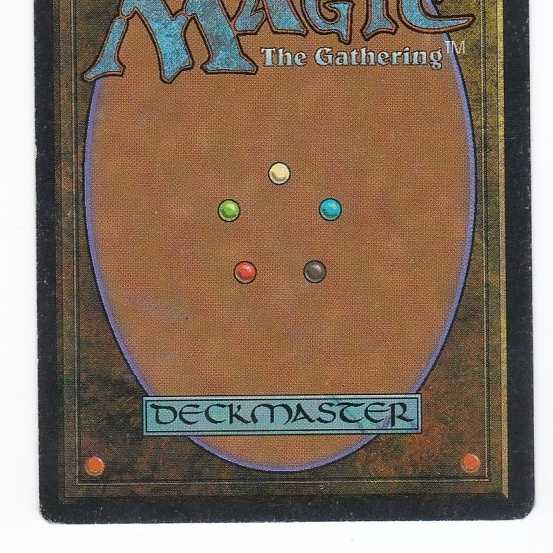 RV Bayou (英語) リバイズド デュアルランド177