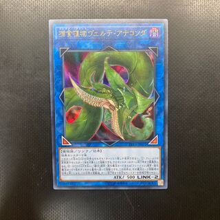 Beautiful] Predaplant Verte Anaconda Ultra Rare