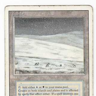 RV Tundra (English) Revised Dual Land 172