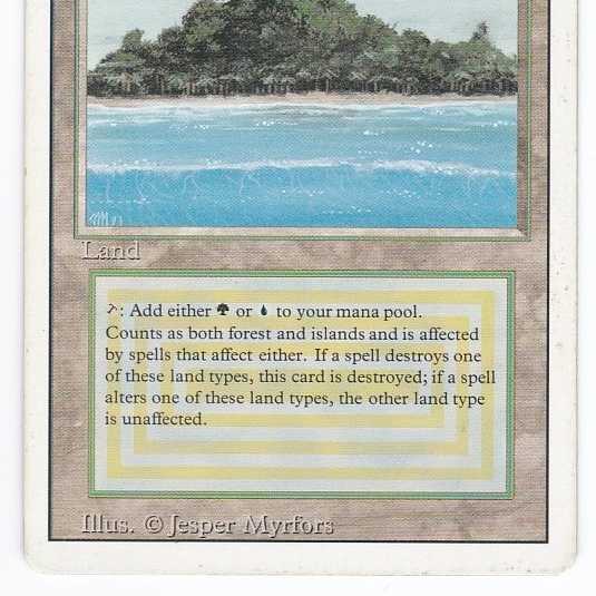 RV Tropical Island (English) Revised Dual Land 124