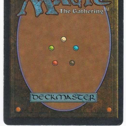 RV Tropical Island (English) Revised Dual Land 124