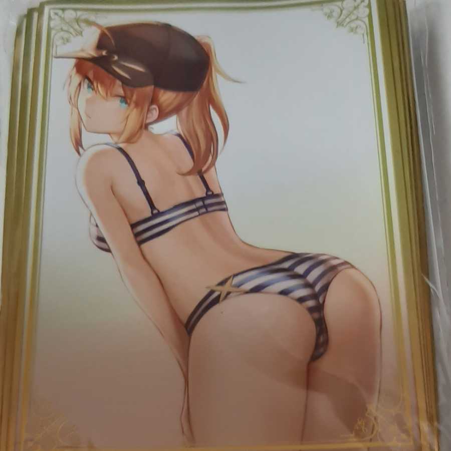 FGO/Fate 謎のヒロインX スリーブ