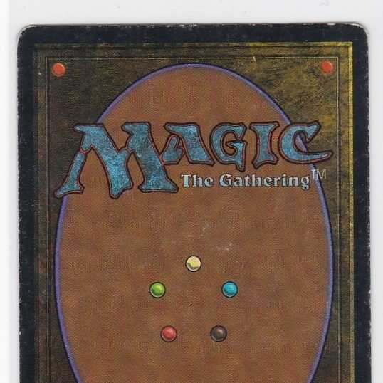 RV Badlands (英語) リバイズド デュアルランド 110 1枚