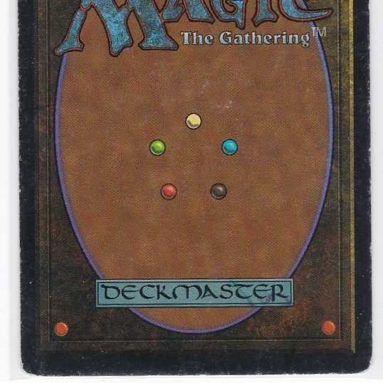 RV Badlands (英語) リバイズド デュアルランド 110 1枚