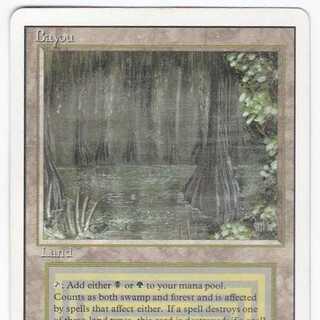 RV Bayou (英語) リバイズド デュアルランド 108