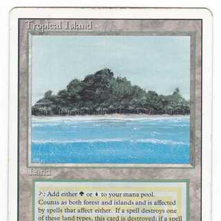 RV Tropical Island (English) Revised Dual Land 142