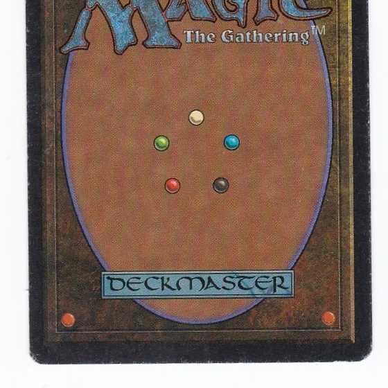 RV Tropical Island (English) Revised Dual Land 142