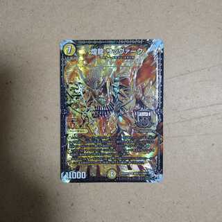 煌龍 サッヴァーク