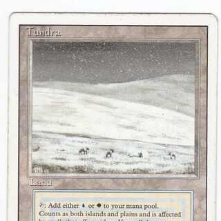 RV Tundra (English) Revised Dual Land 125