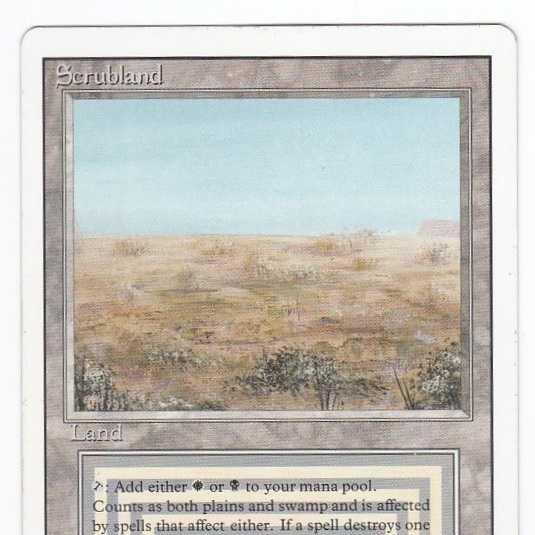 RV Scrubland (英語) リバイズド デュアルランド107 1枚