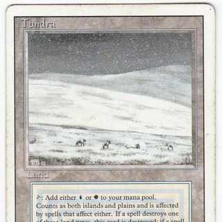 RV Tundra (English) Revised Dual Land 122