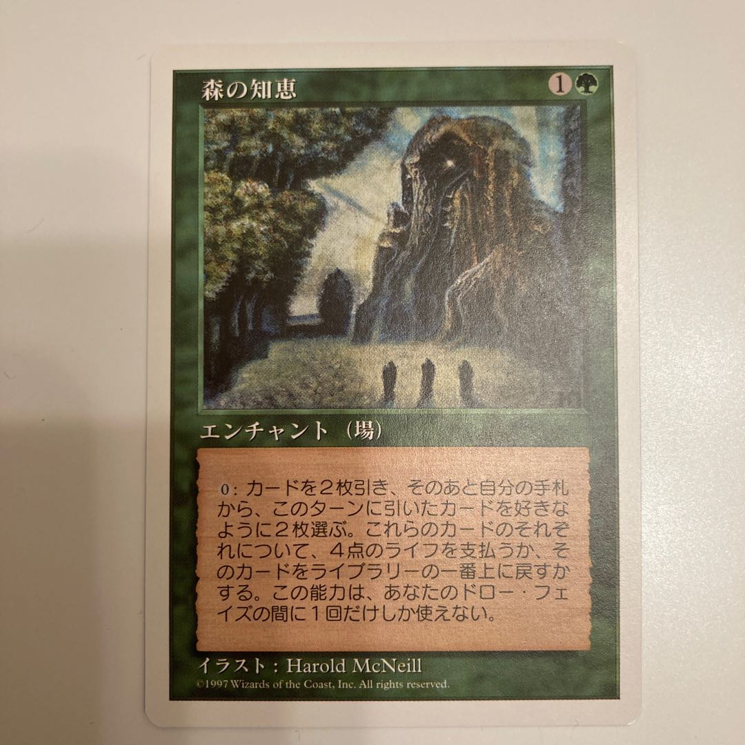 森の知恵　美品