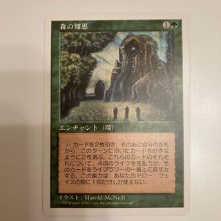 森の知恵　美品