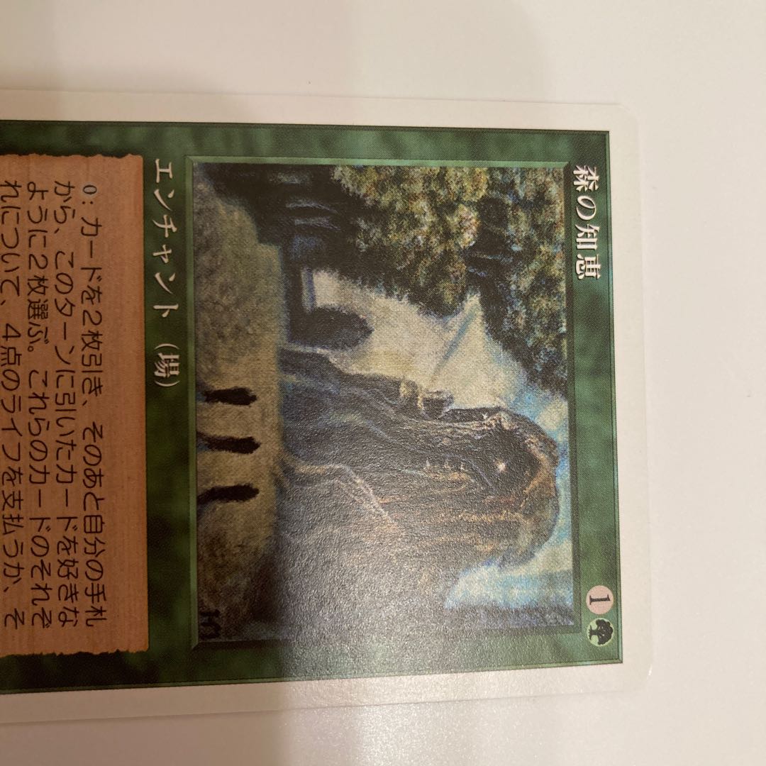 森の知恵　美品