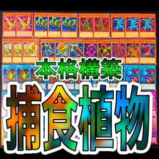 遊戯王 捕食植物 プレデター・プランツ デッキ トリフィオ キメラフレシア