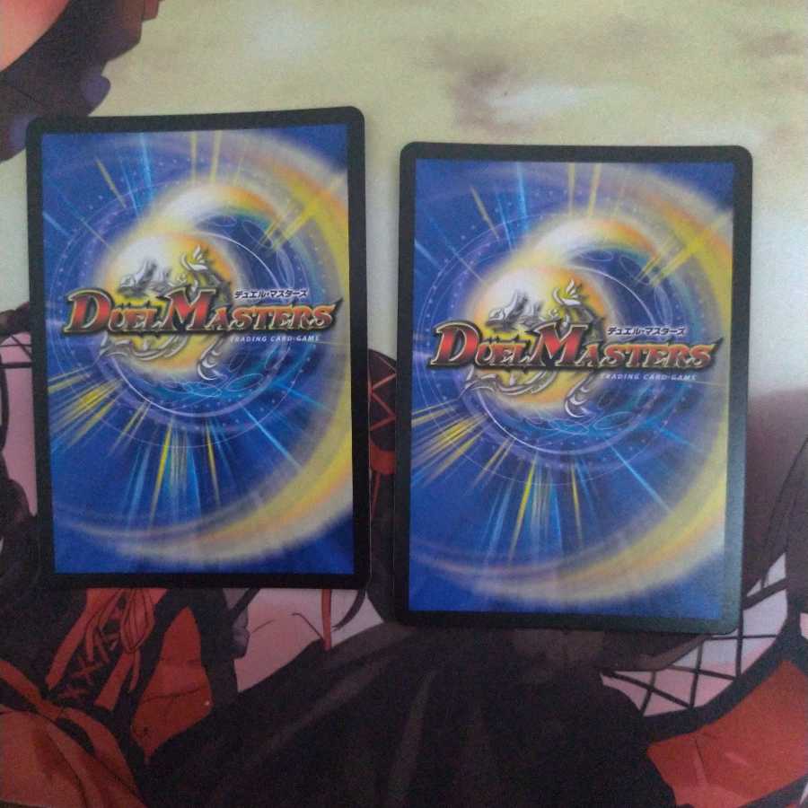 龍風混成 ザーディクリカ