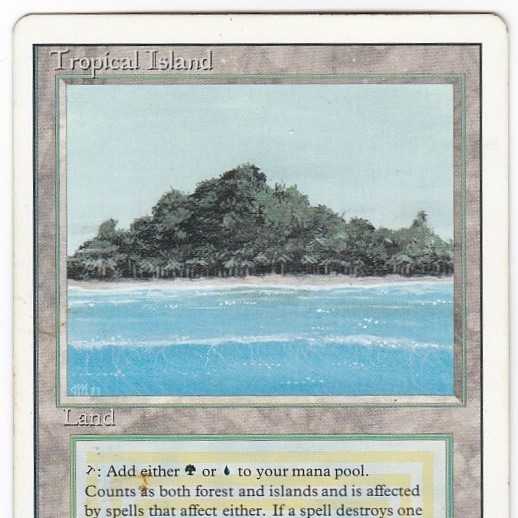 RV Tropical Island (English) Revised Dual Land 121