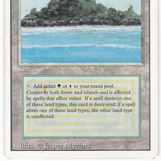 RV Tropical Island (English) Revised Dual Land 121