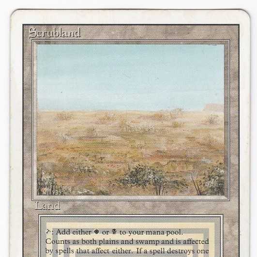 RV Scrubland (英語) リバイズド デュアルランド 104 1枚