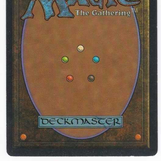 RV Scrubland (英語) リバイズド デュアルランド 104 1枚