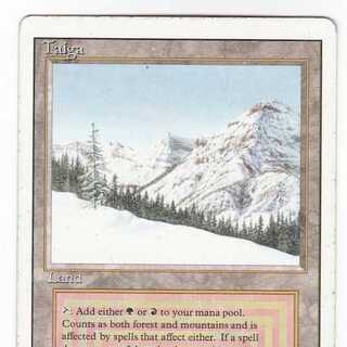 RV Taiga (英語) リバイズド デュアルランド 105-2 1枚