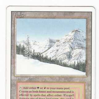 RV Taiga (English) Revisited Dual Land 105-1