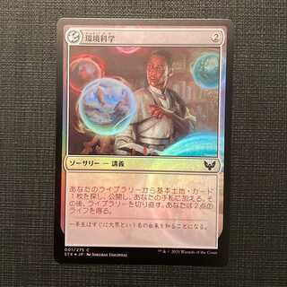 STX【環境科学】日本語 Foil