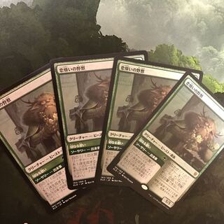 恋煩いの野獣 レア　4枚　日本語