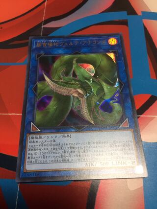 捕食植物ヴェルテ・アナコンダ ウルトラレア