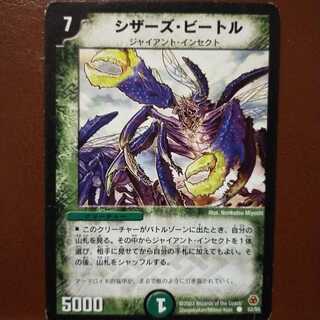 mri1379 set discount Scissor Scarab