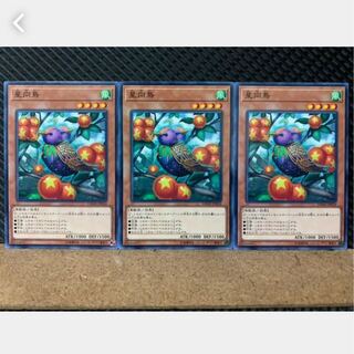 Popotan] Yu-Gi-Oh! 1250 Star Staring Starling 3 Normal