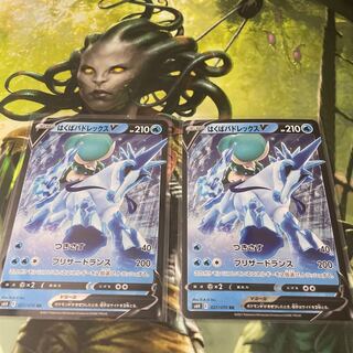 はくばバドレックスV 2枚セット