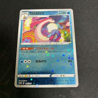 カナザワ　ミロカロス　プロモ