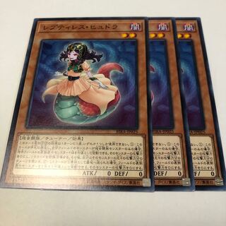 レプティレス・ヒュドラ ノーマル