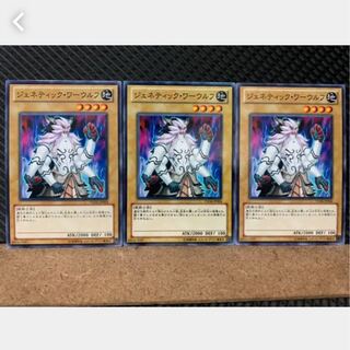 【ぽぽたん】遊戯王 3118 ジェネティック・ワーウルフ 3枚 ノーマル