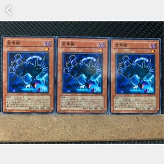 【ぽぽたん】遊戯王 3373 金華猫 3枚 ノーマル