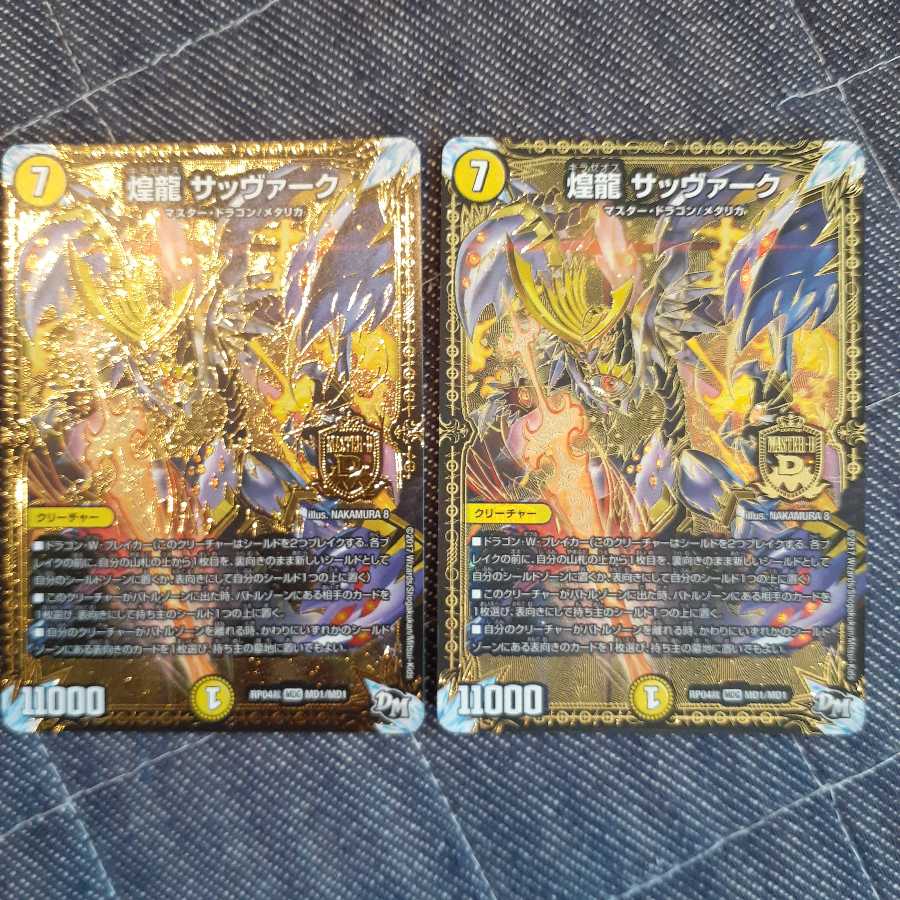 煌龍 サッヴァーク