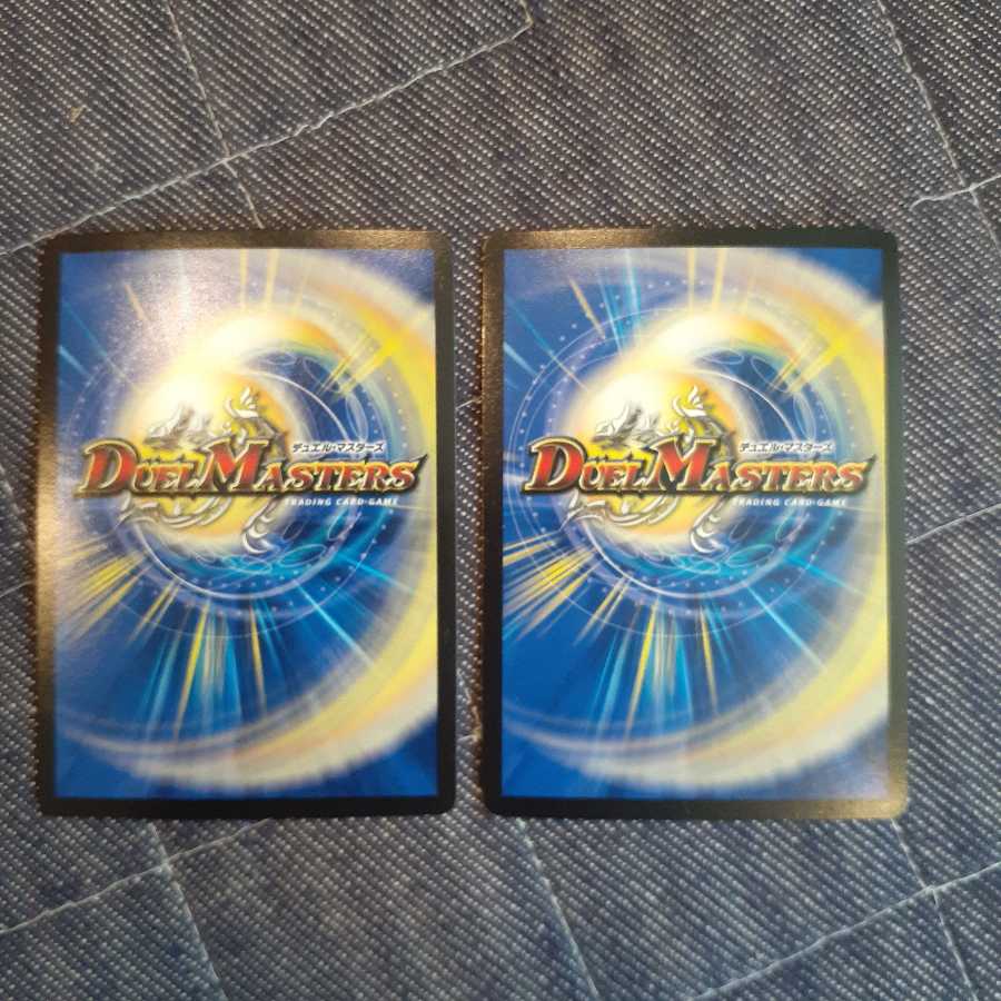 煌龍 サッヴァーク