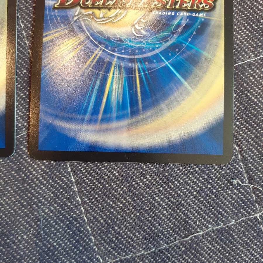 煌龍 サッヴァーク