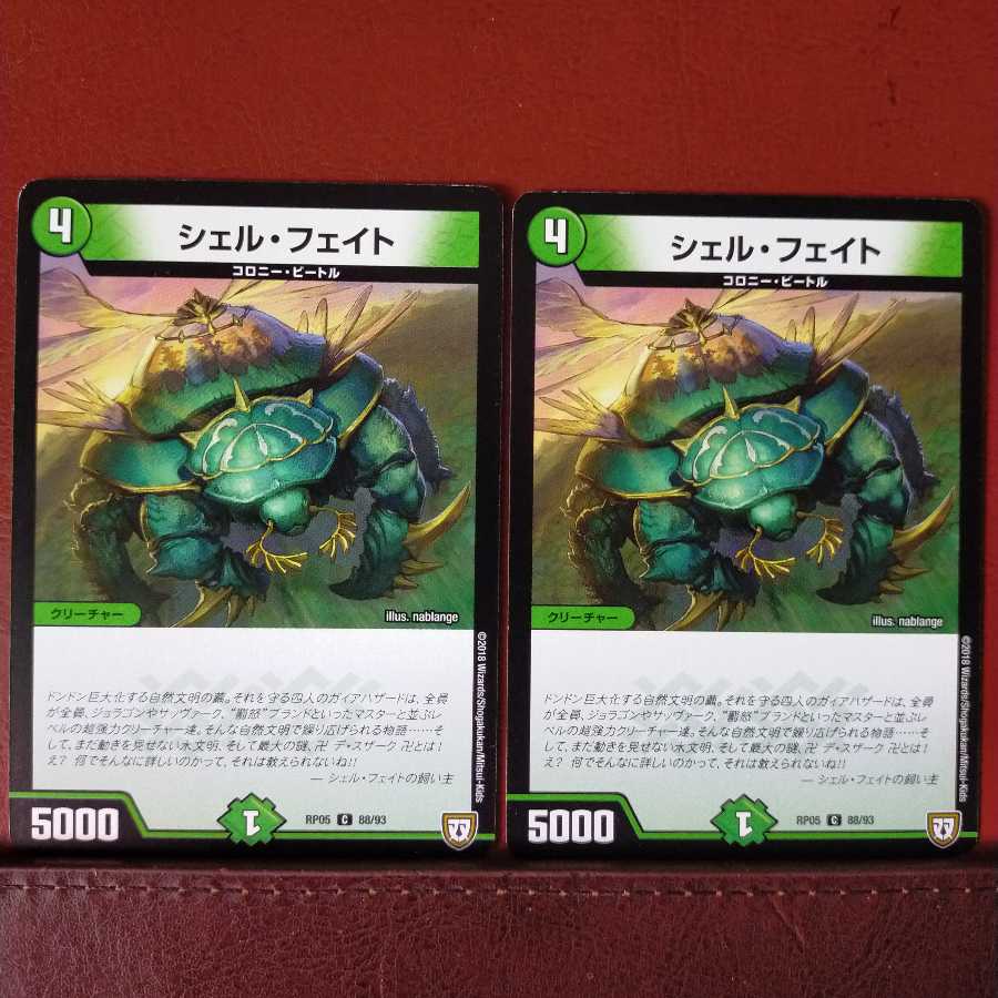 mri1438 set discount shell fait